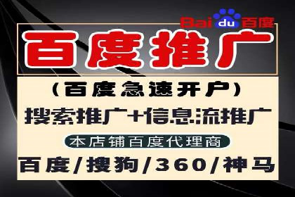 科技公司SEM优化师的日常与挑战——以某科技巨头为例